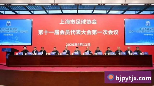 未来规划