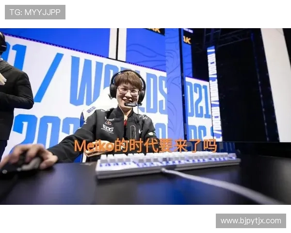 以Meiko为核心的辅助玩法解析及操作技巧提升指南 以Meiko为核心的辅助玩法解析及操作技巧提升指南