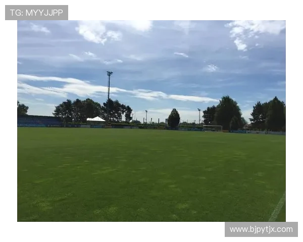 探访全球知名足球俱乐部发展历程与文化魅力全景多维深度权威解析